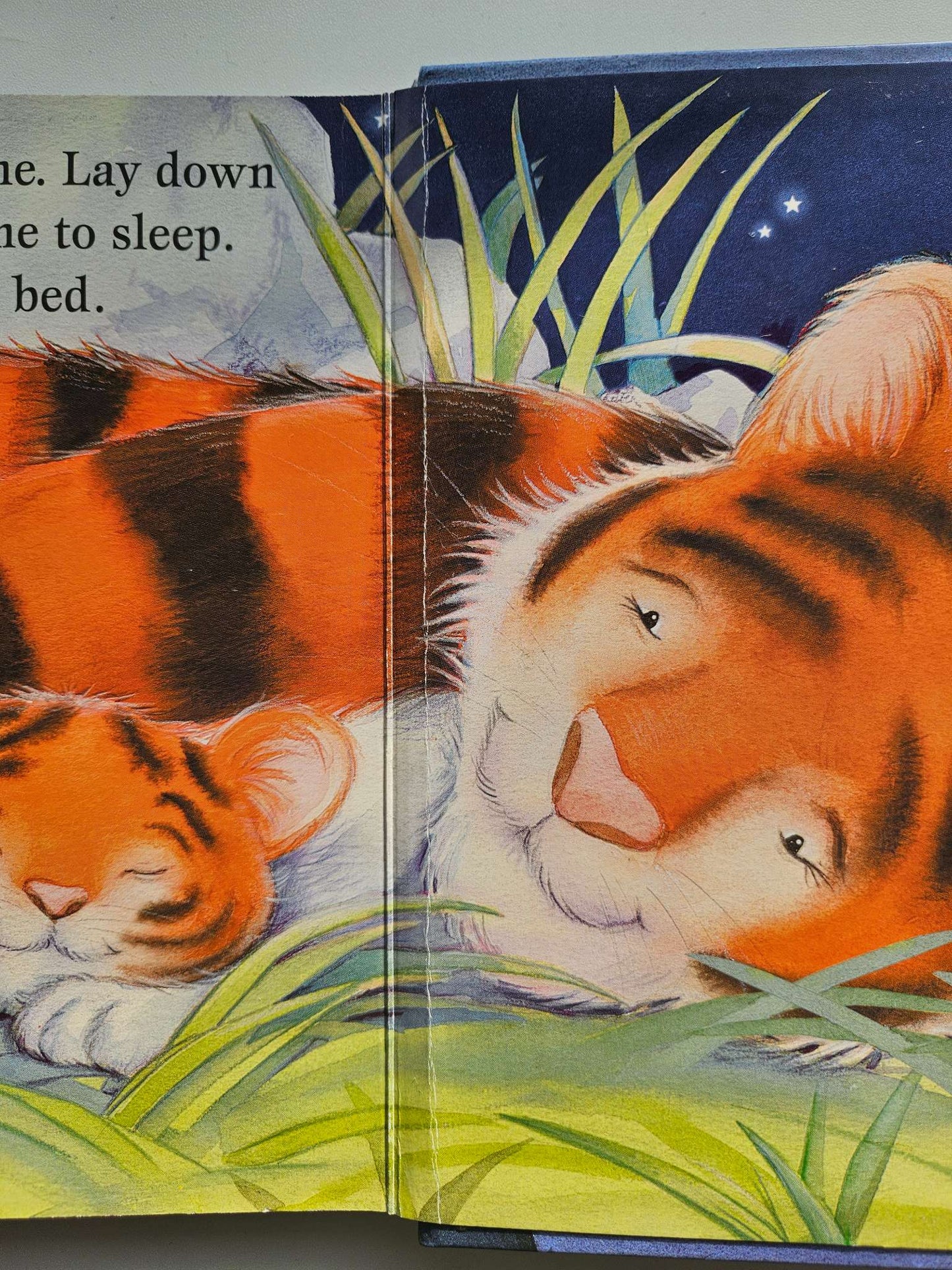 Good night little one and Time for Bed board books