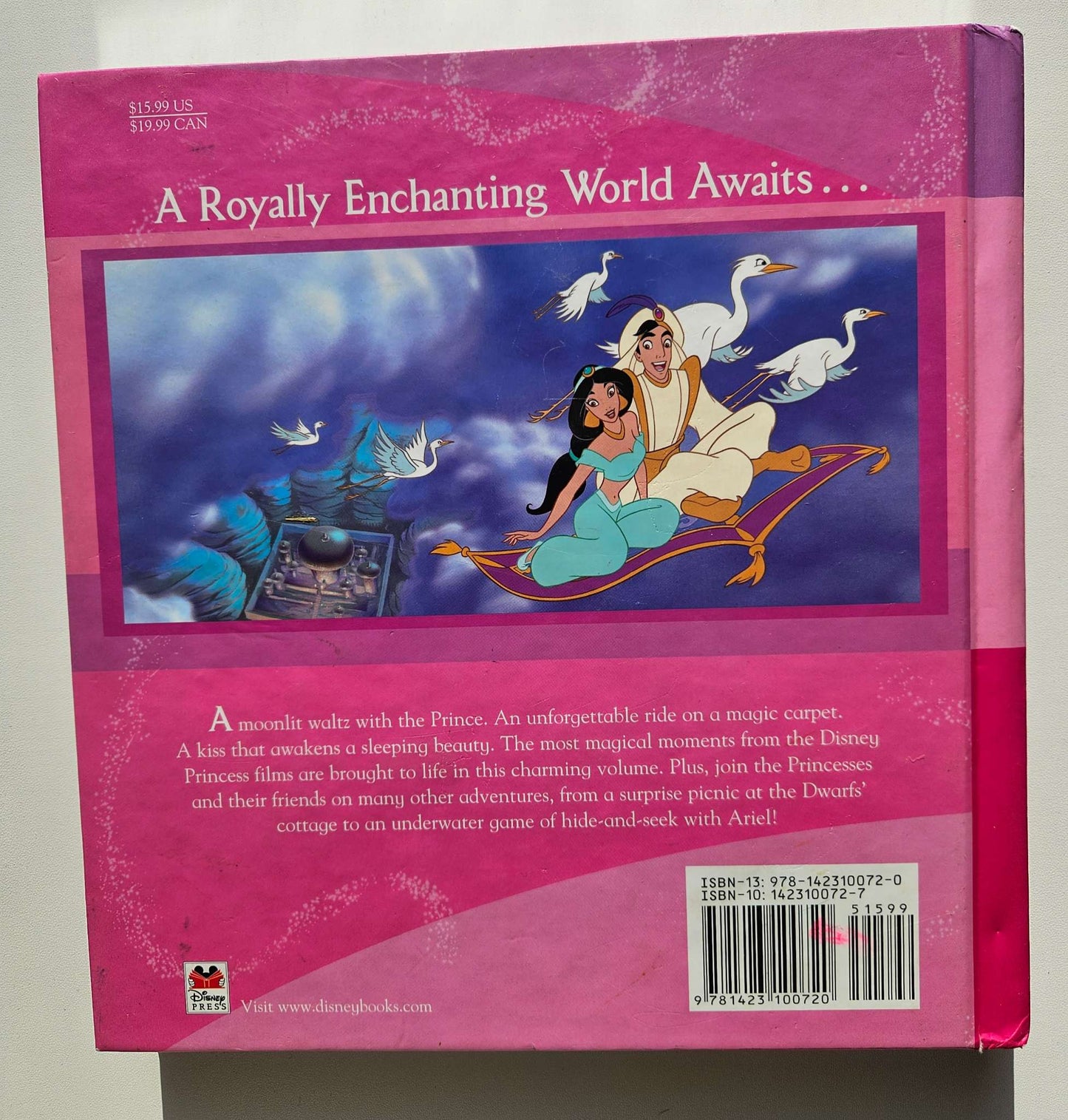 Disney Princess Collection book