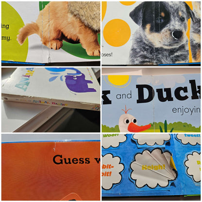 Set of 5 books (touch and feel puppy, my book of baby animals, Baa Baa, Raccoons ready for bed, Mary had a little lamb)