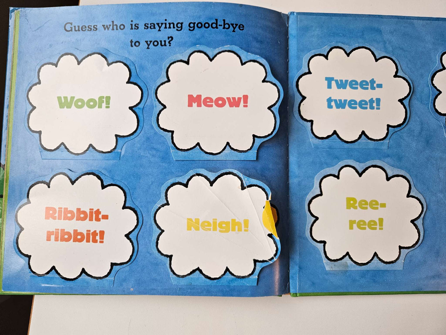 Peek-a-pet hardcover book