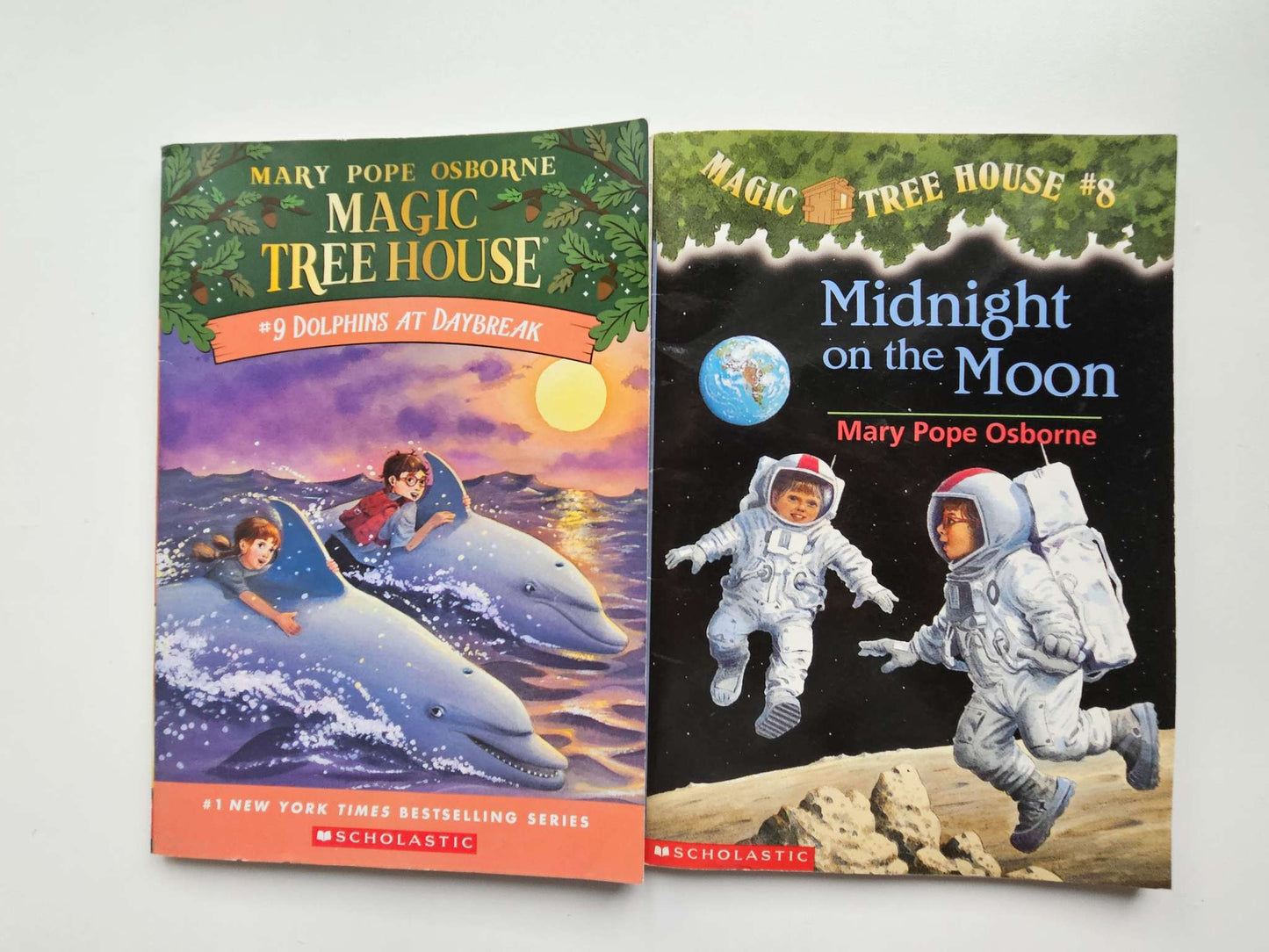 Magic Treehouse books set of 2