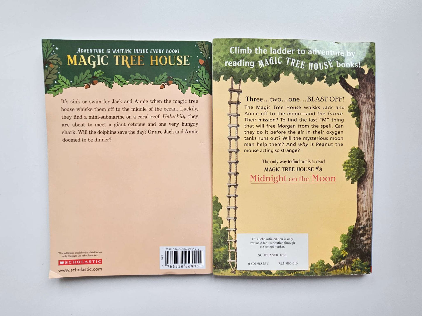 Magic Treehouse books set of 2