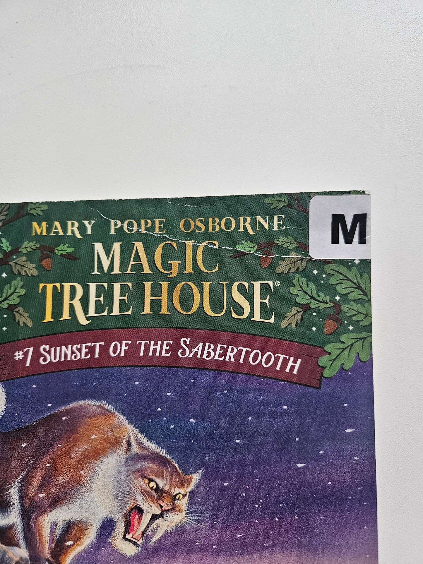 Magic Treehouse books #7,8,9