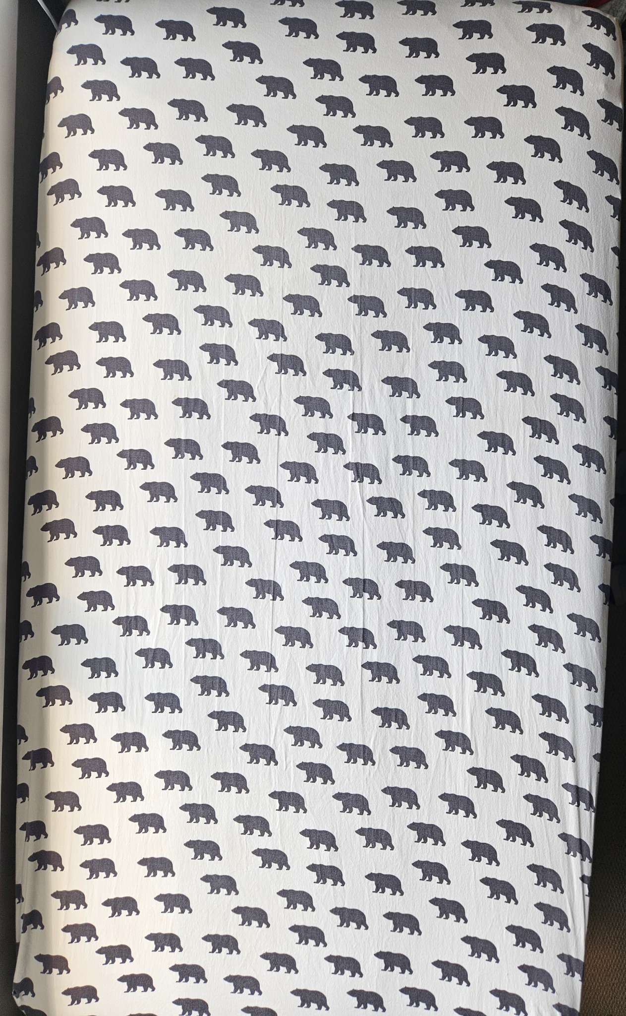 Wild one crib blanket and sheets