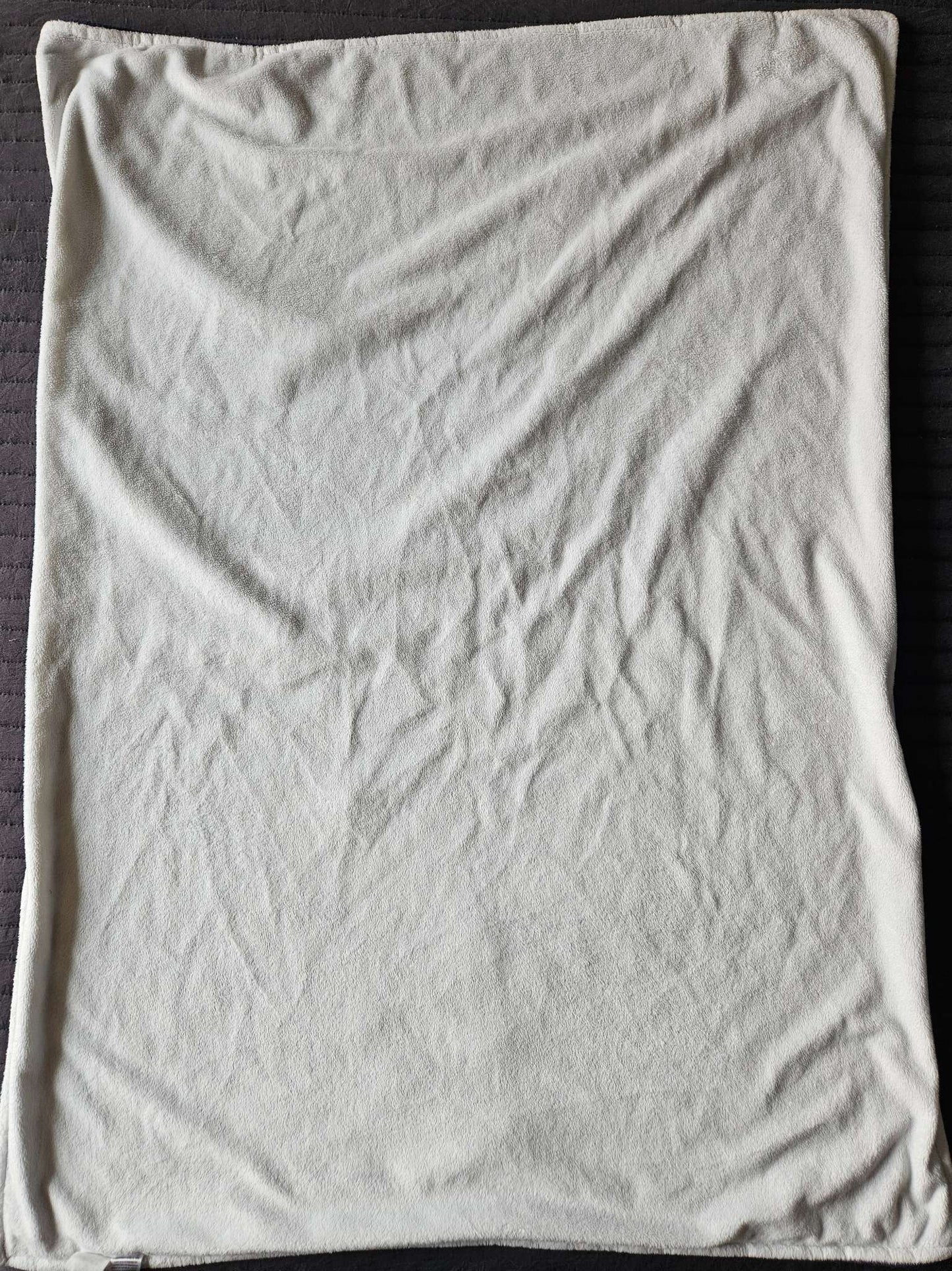 Taggies dinosaur fleece baby blanket
