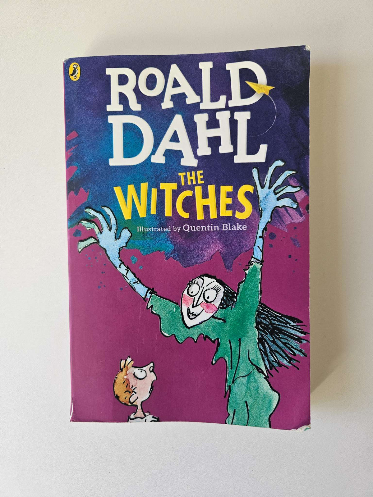 The Witches chapter book