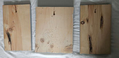 Wild Baby 3 wooden picture set