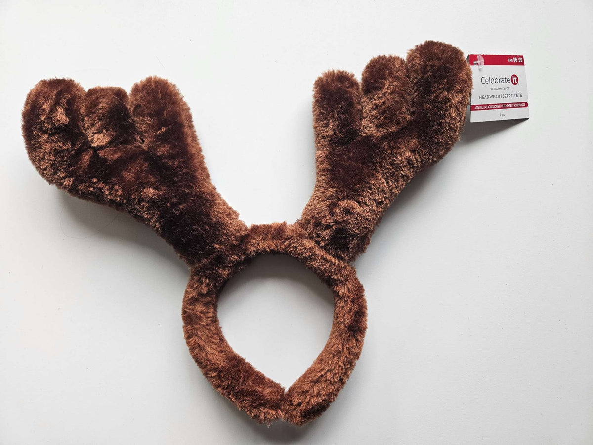 NWT Reindeer antlers