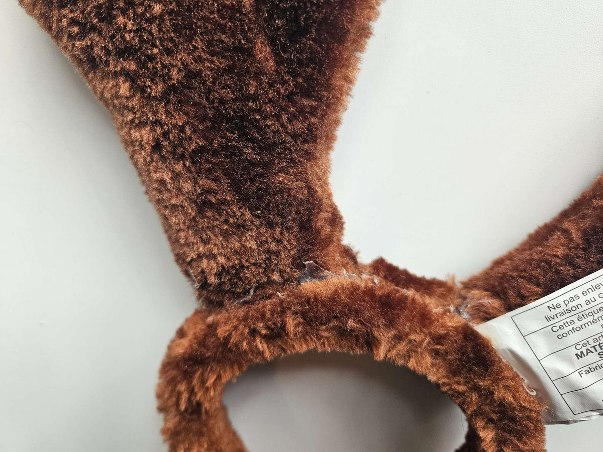 NWT Reindeer antlers