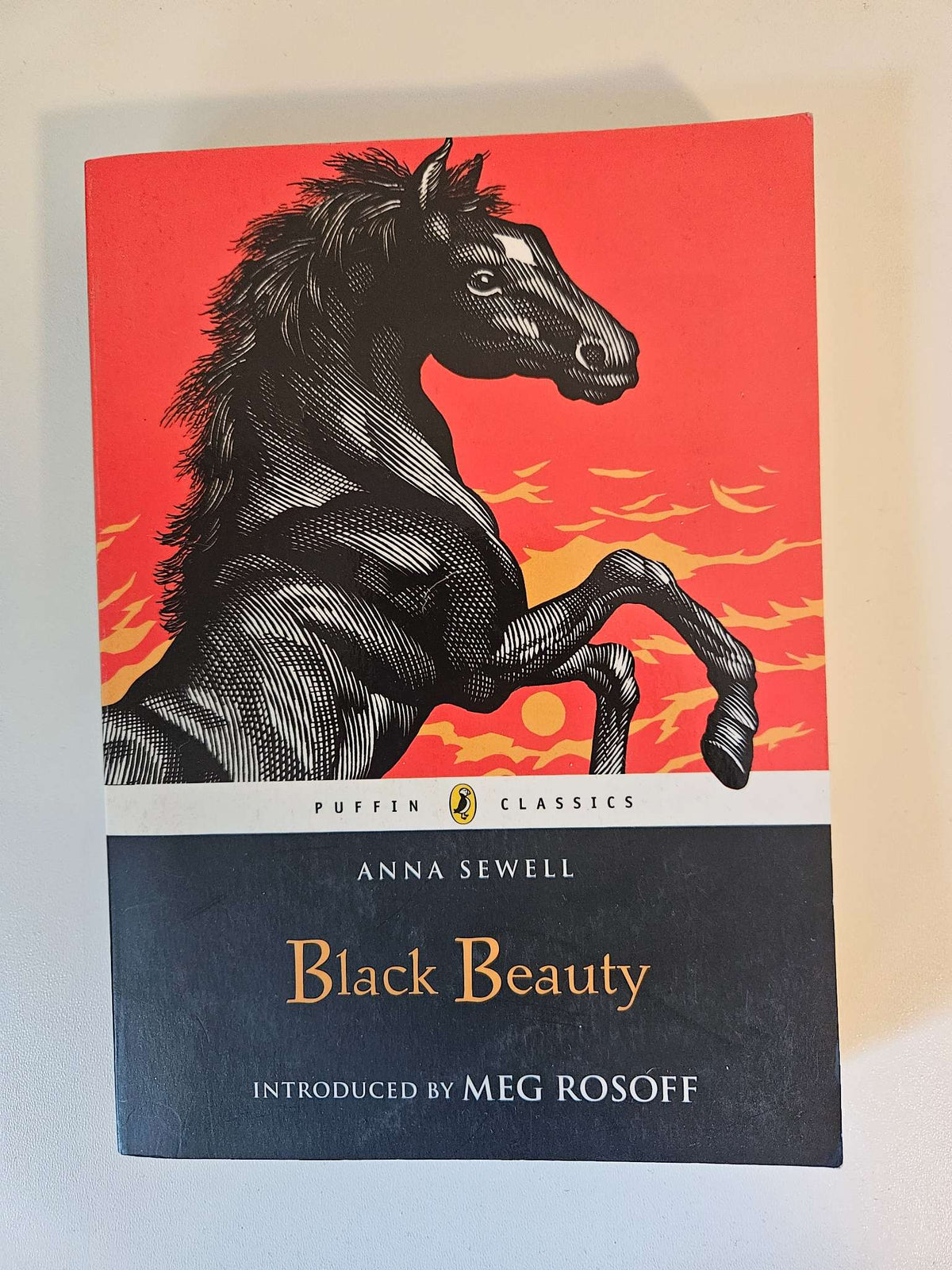 Black Beauty chapter book
