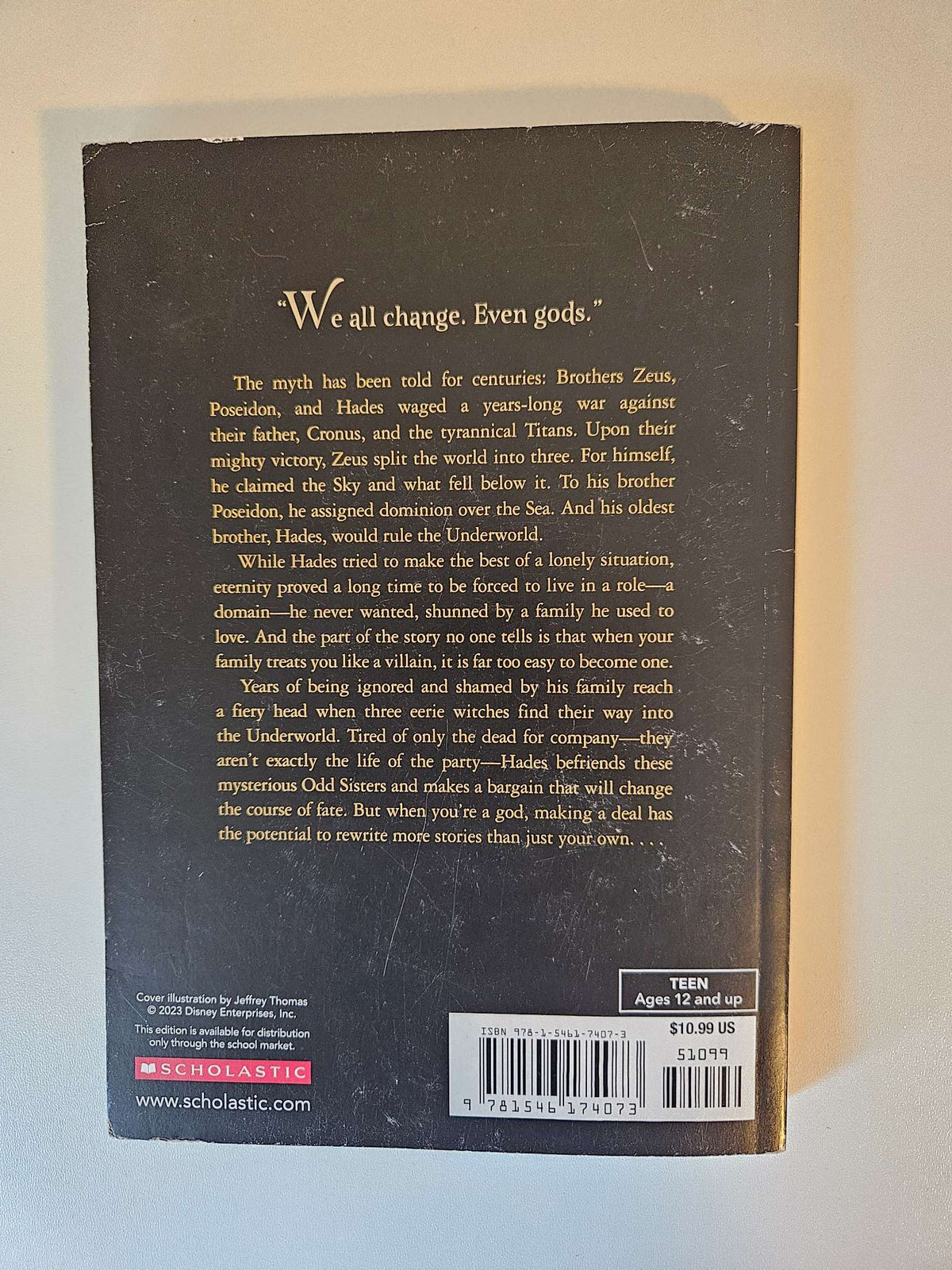Fire and Fate chapter book
