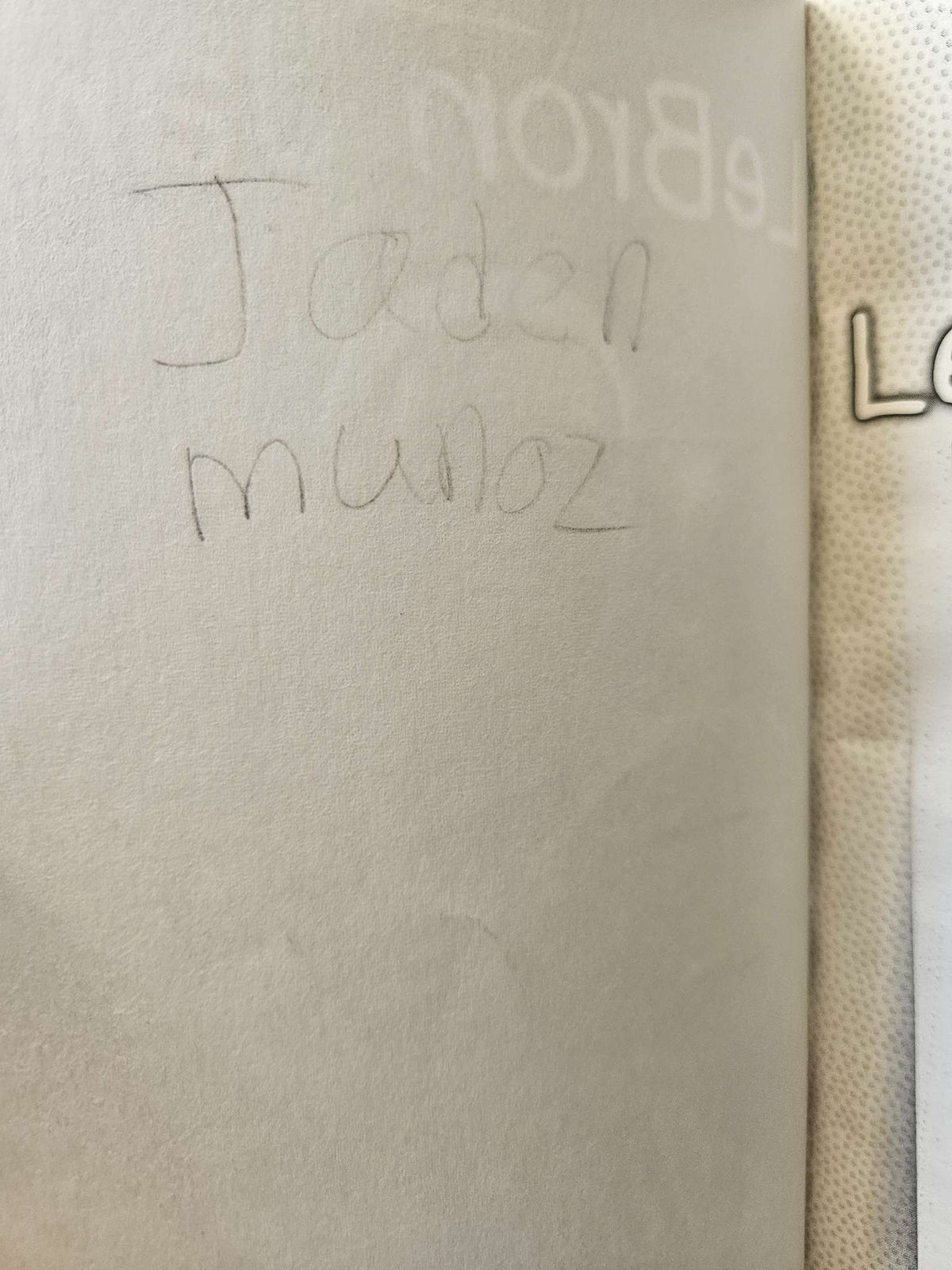 I am LeBron James book