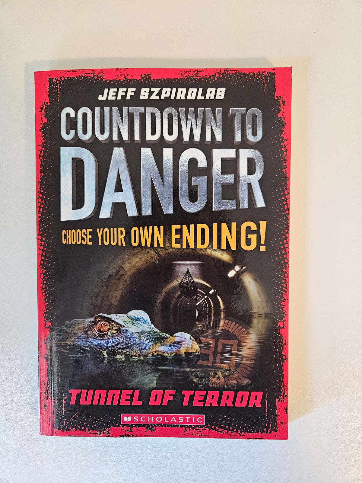 Countdown to danger chapter book