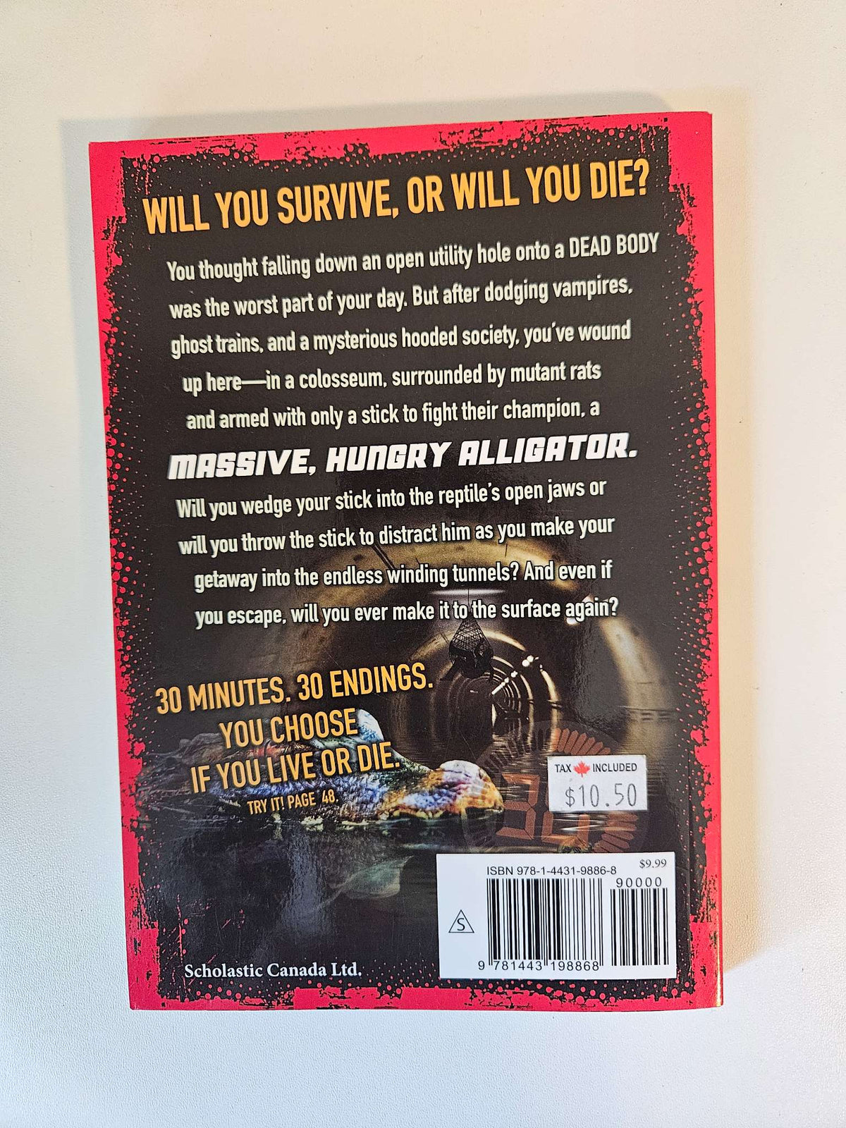Countdown to danger chapter book