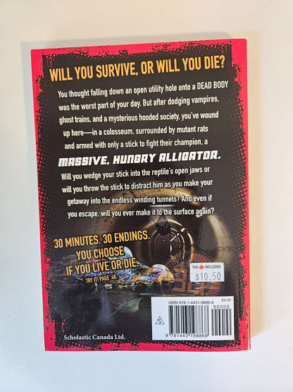 Countdown to danger chapter book