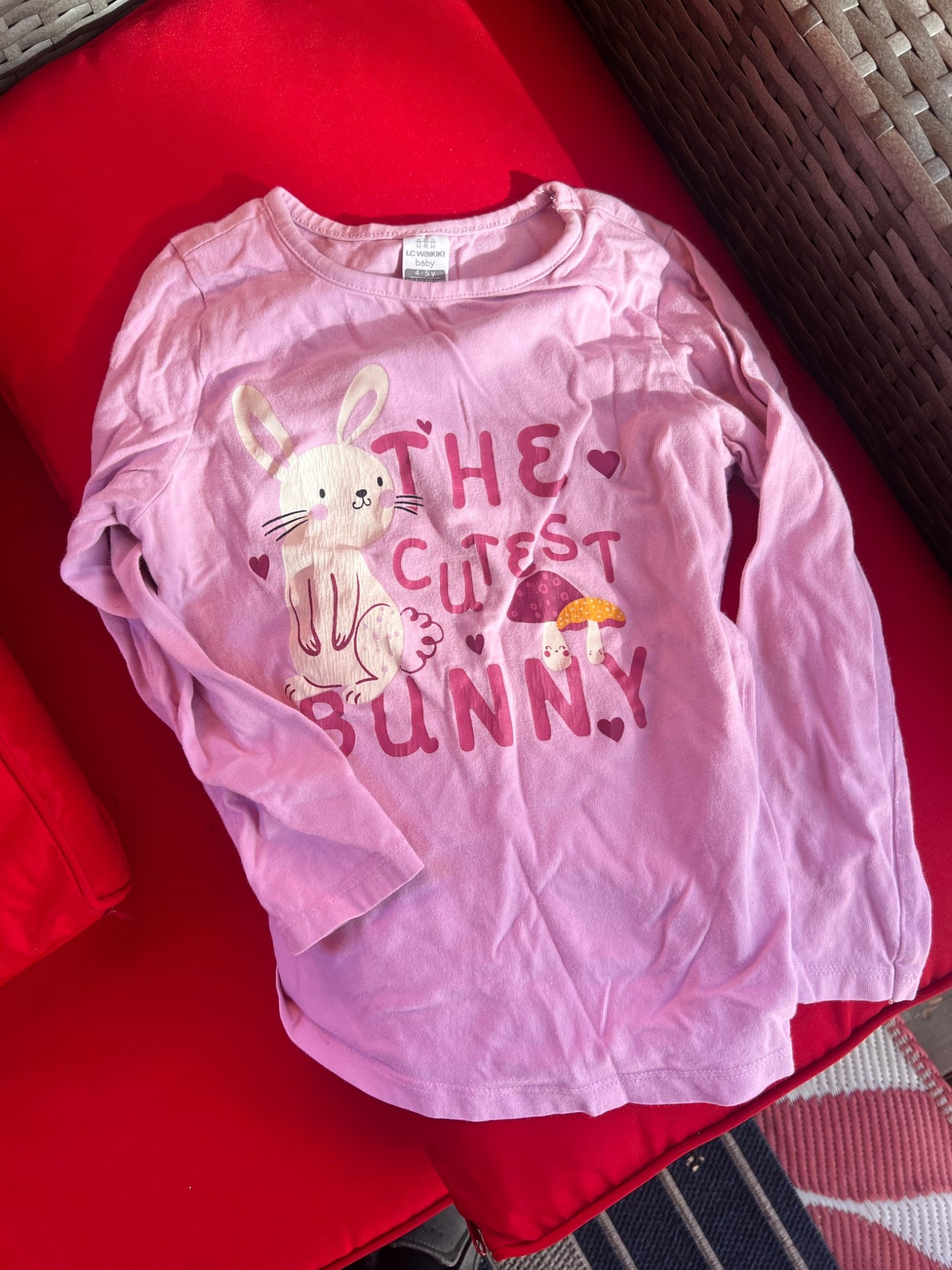 Girl’s Mixed Bundle Bunny/Butterfly Long Sleeves, Kids 4/4T
