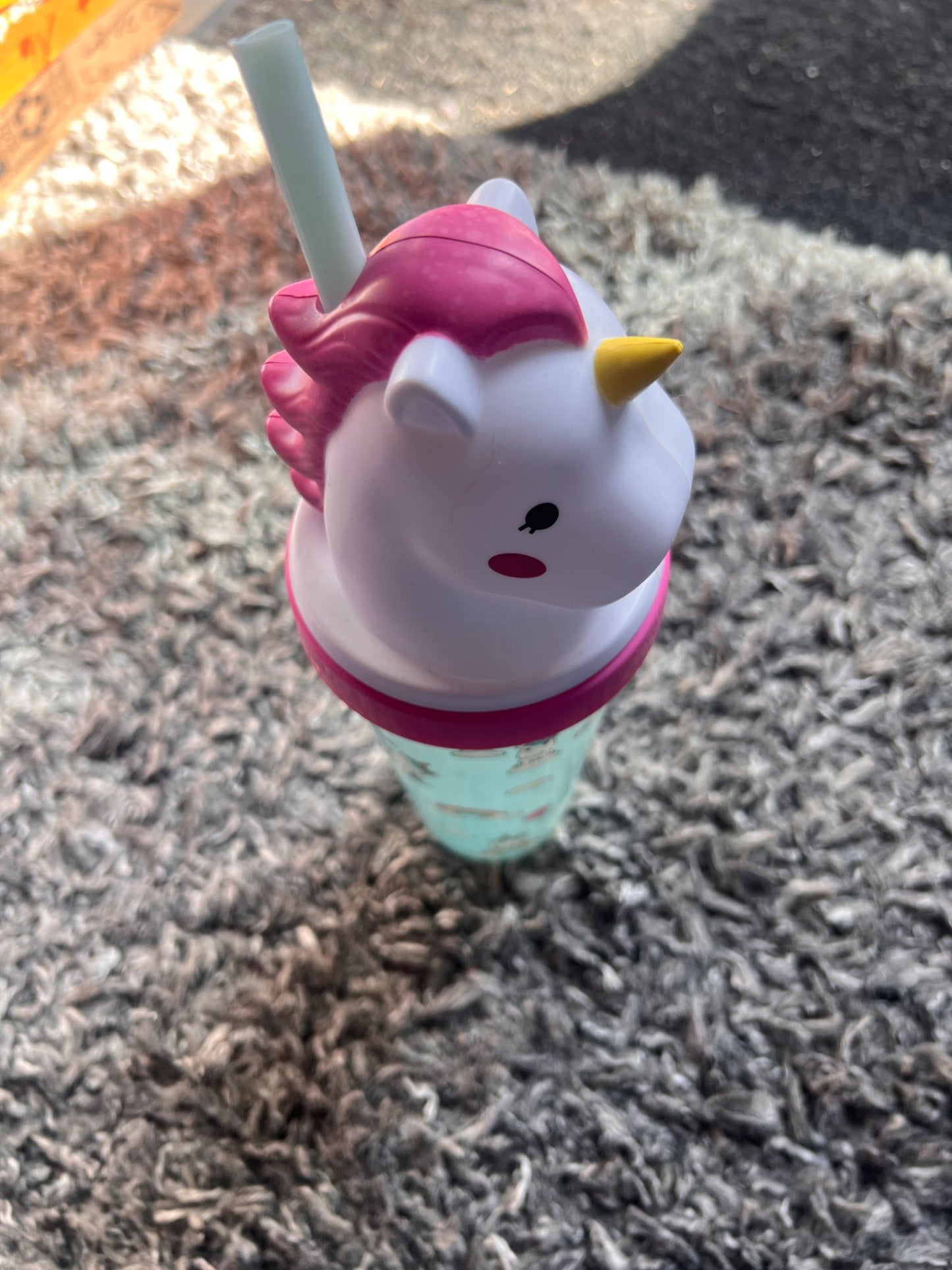 Girl’s Unicorn/Balloons Water Bottle