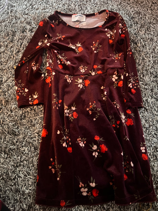 Girl’s Brown/Purple Floral Pattern Velvet Dress, Kids 6/6X