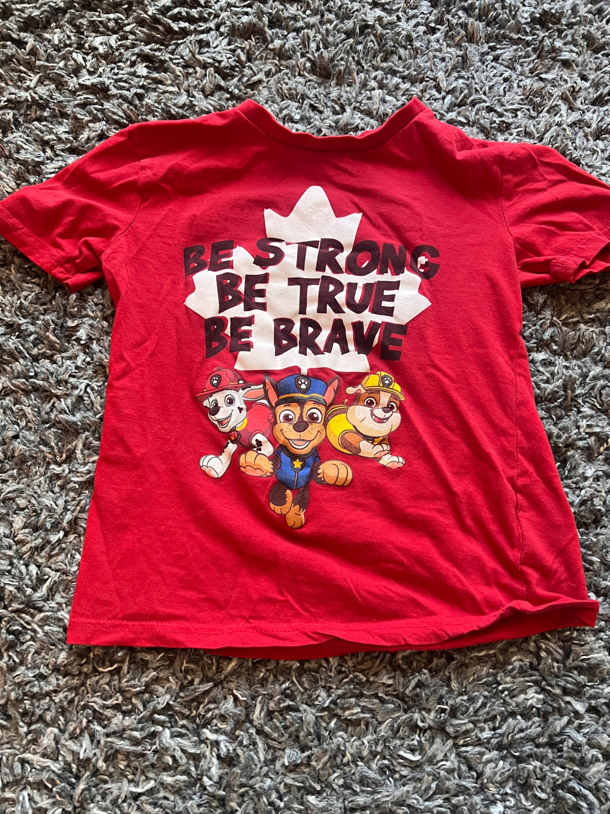 Gender Neutral Paw Patrol T Shirt, Kids 5/5T