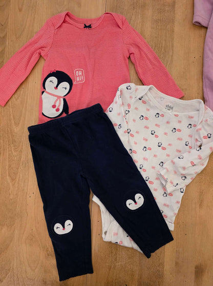 6 to 12 Month Clothing Bundle (Matching sets, onesies, tops and leggings ), Kids 12 Month (9-12M)
