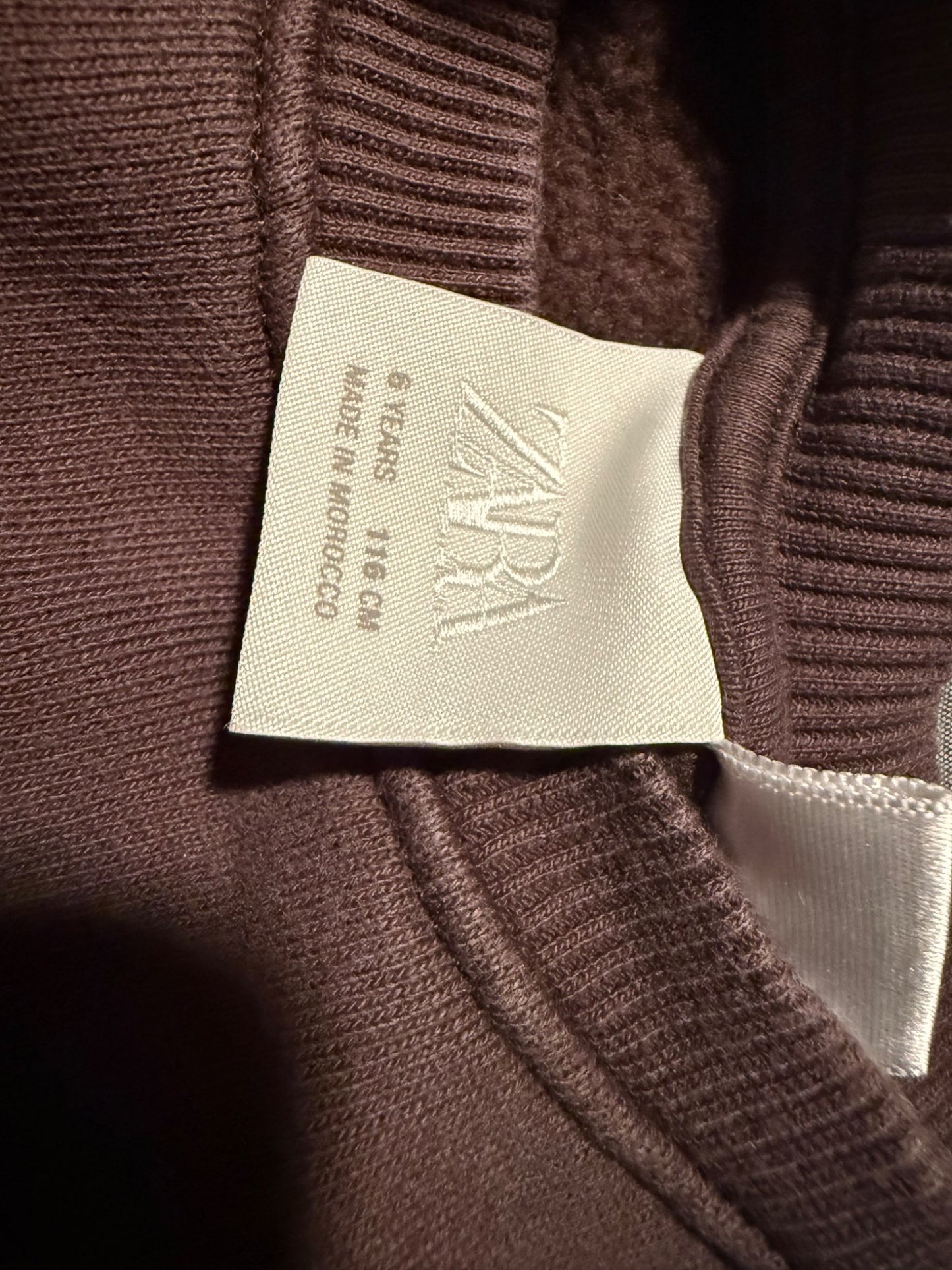 Zara Brown Teddy sweatshirt 6Y, Kids 6/6X