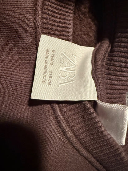 Zara Brown Teddy sweatshirt 6Y, Kids 6/6X