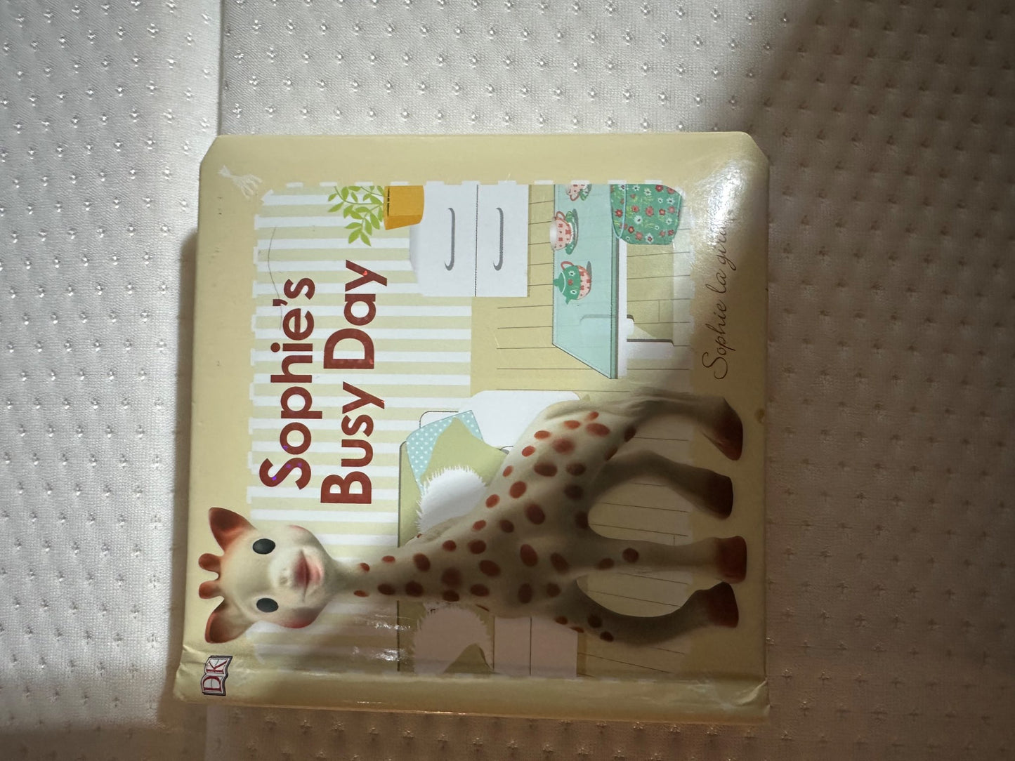 Sophie Busy Day Book
