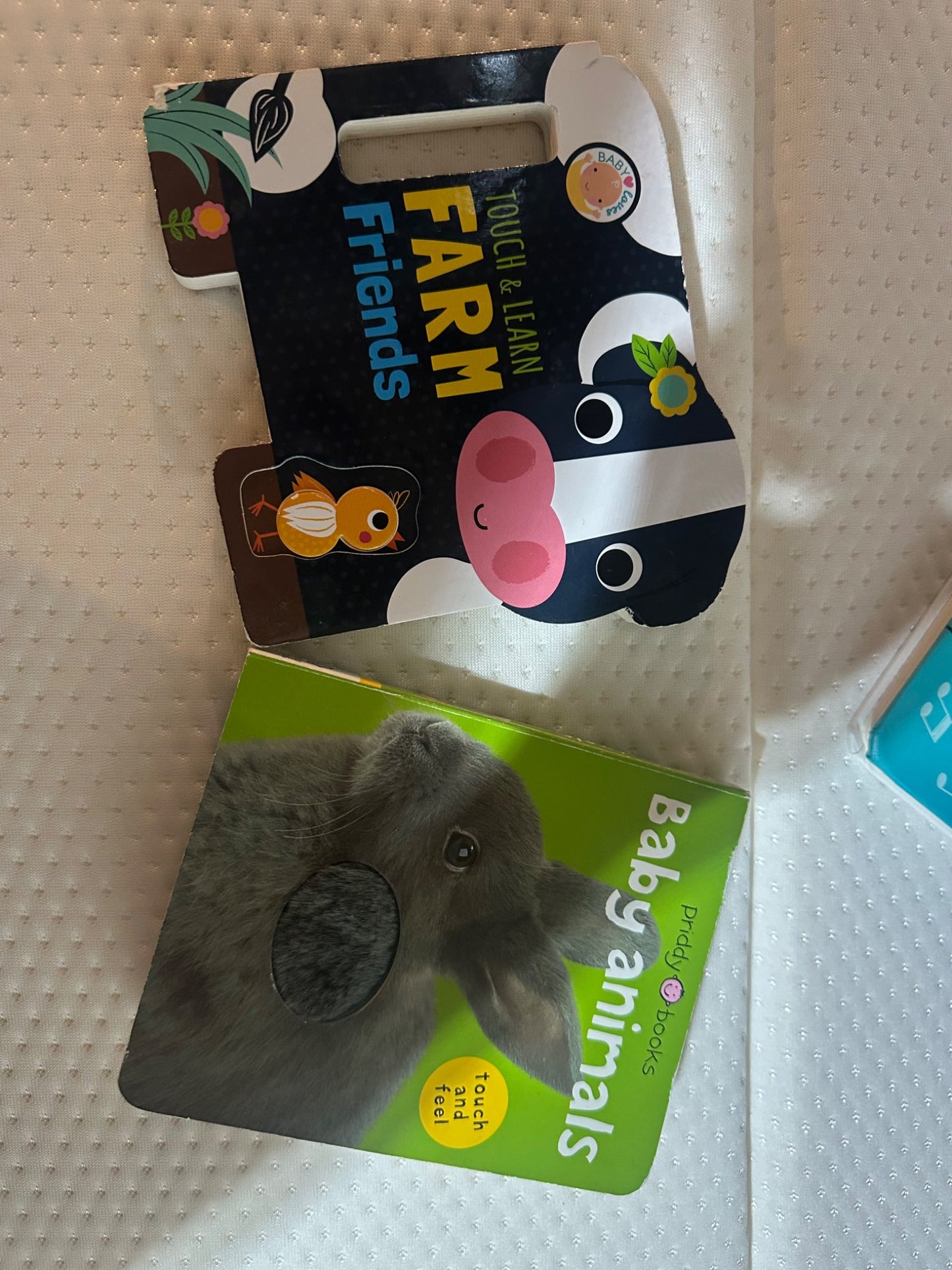 Book bundle