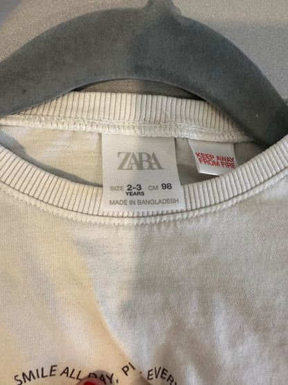 Zara Long Sleeve Graphic Tee 2-3 Year, Kids 2T