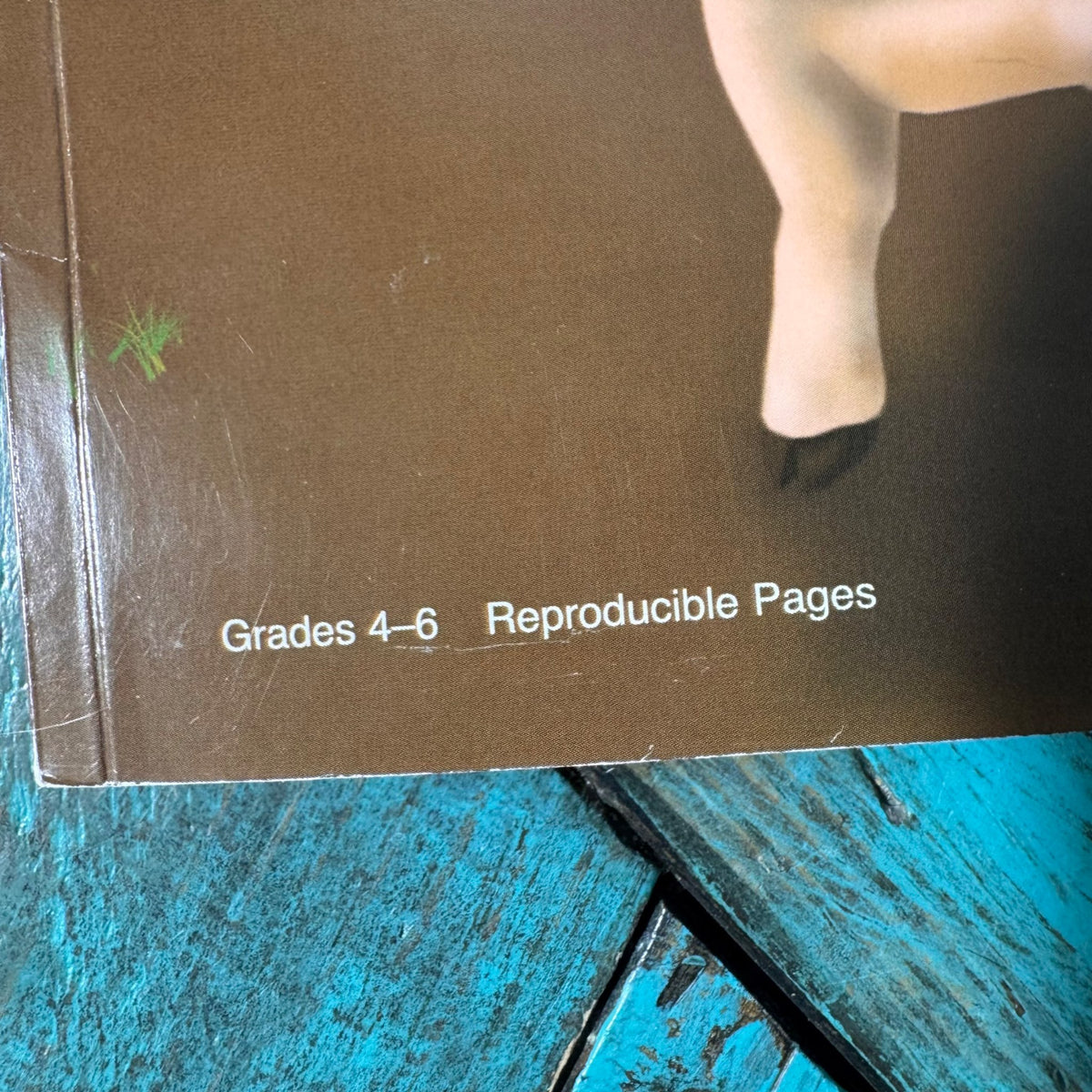 NEW Grades 4-6 Charlottes Web Study Guide retails $36
