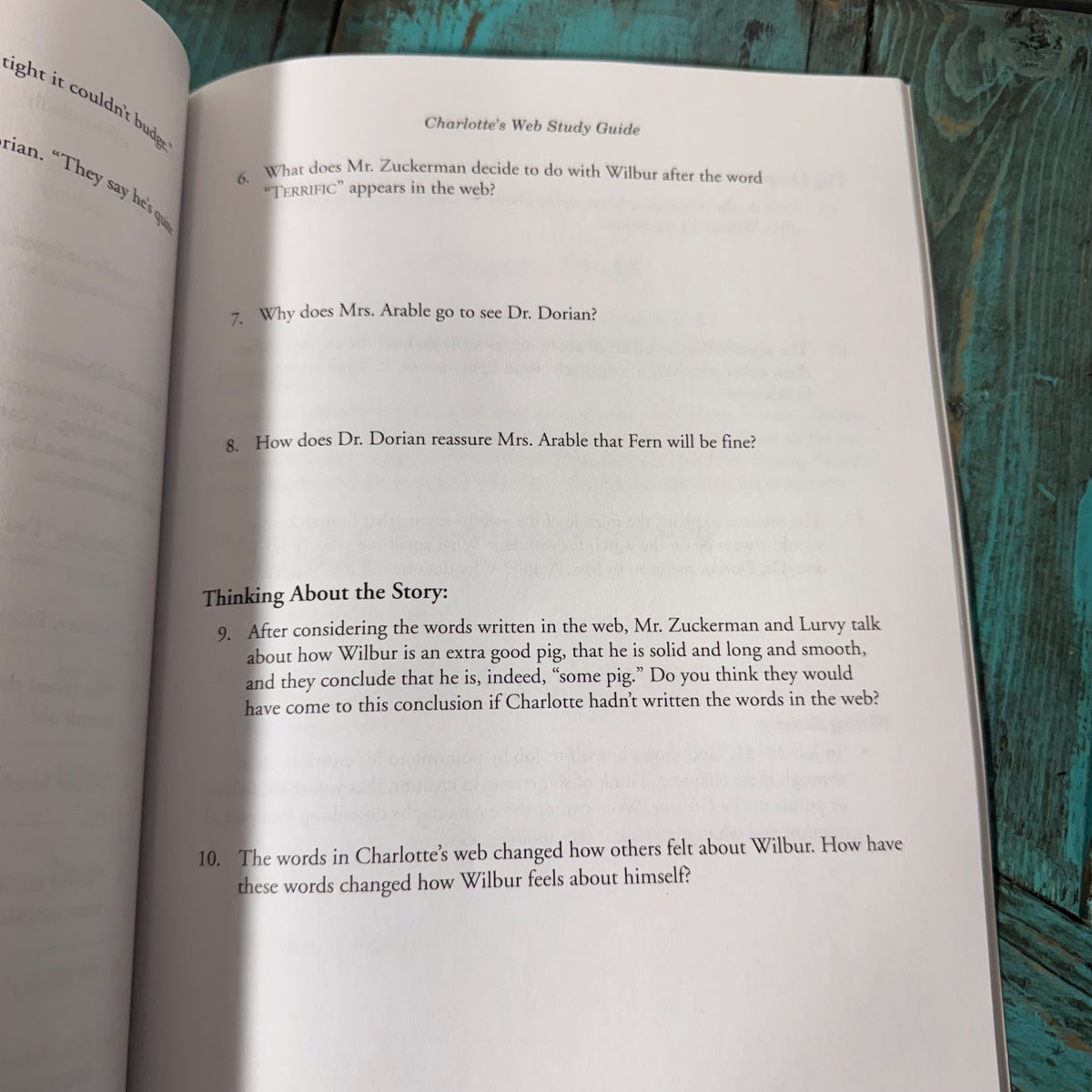 NEW Grades 4-6 Charlottes Web Study Guide retails $36