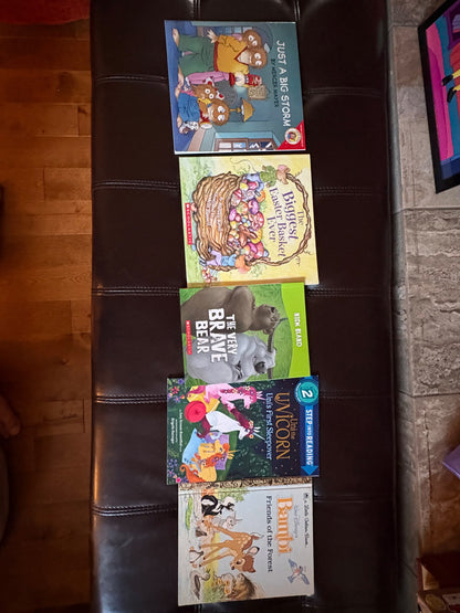 Level 2 reading books- ( grade kindergarten/grade 1) variety bundle