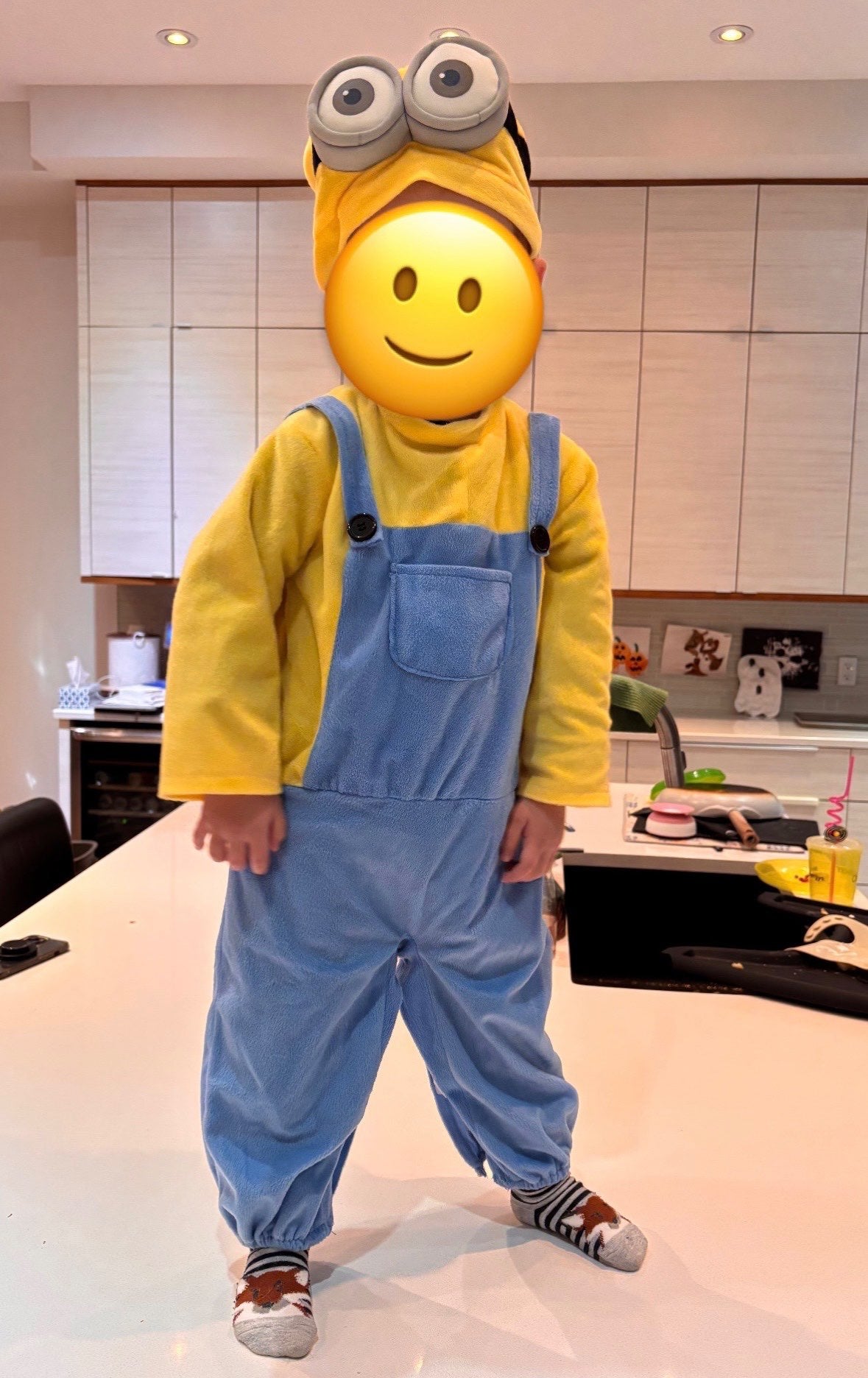 2/3T minion costume , Kids 3T