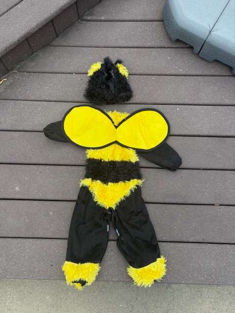 Buzzy Bee Halloween Costume for 6-12 months , Kids 12 Month (9-12M)