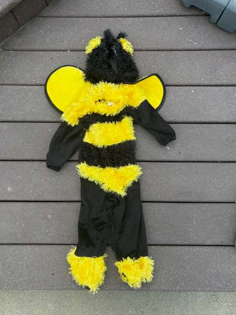 Buzzy Bee Halloween Costume for 6-12 months , Kids 12 Month (9-12M)