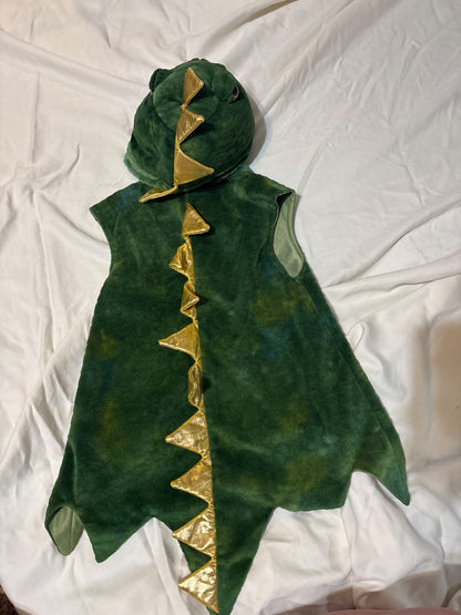 Dinosaur Costume, Kids 2T