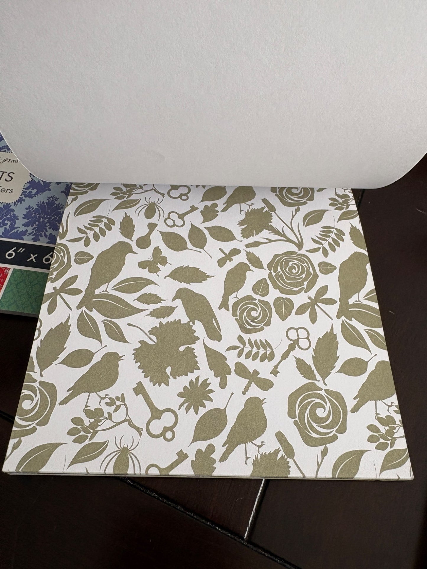 (NWOT) Set of 2 6 x 6 inch scrapbook paper pages (each 30 sheets)