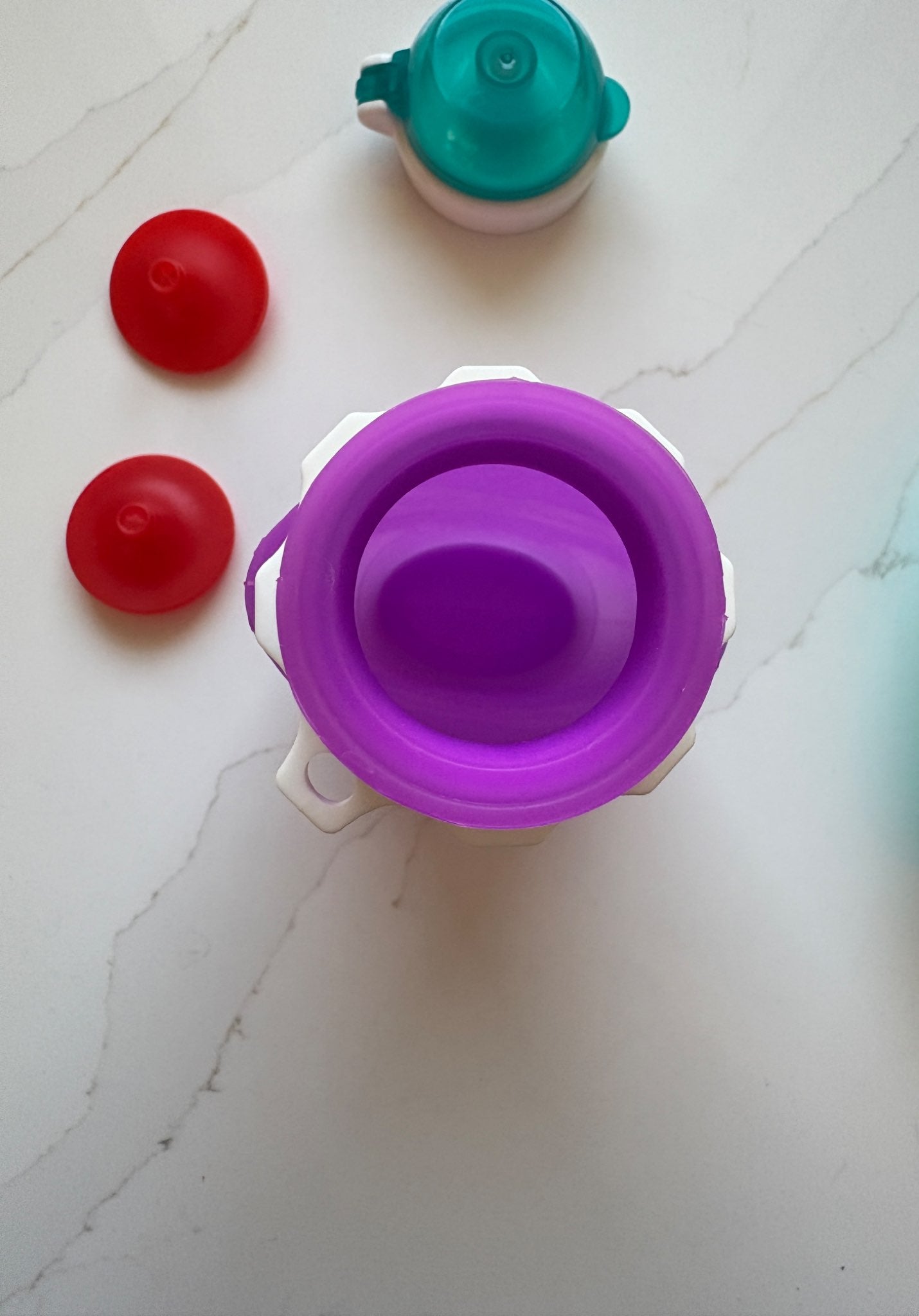 Set of 2 Purple and Teal Squeasy Snacker Bottles with 5 inserts total (retails over $65.00)