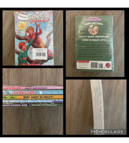 NWT - Set of 5 Chapter Books  (1)