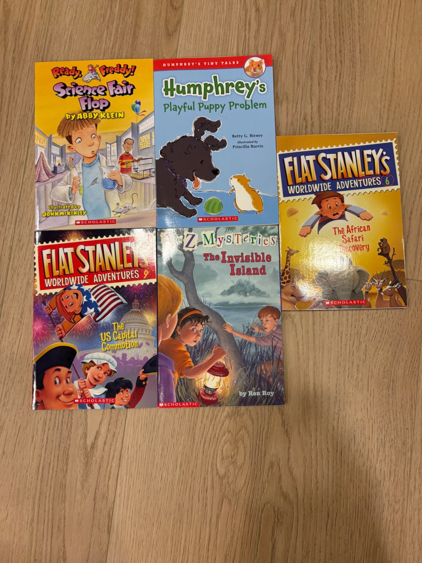 NWOT Set of 5 Scholastic Chapter books (1)