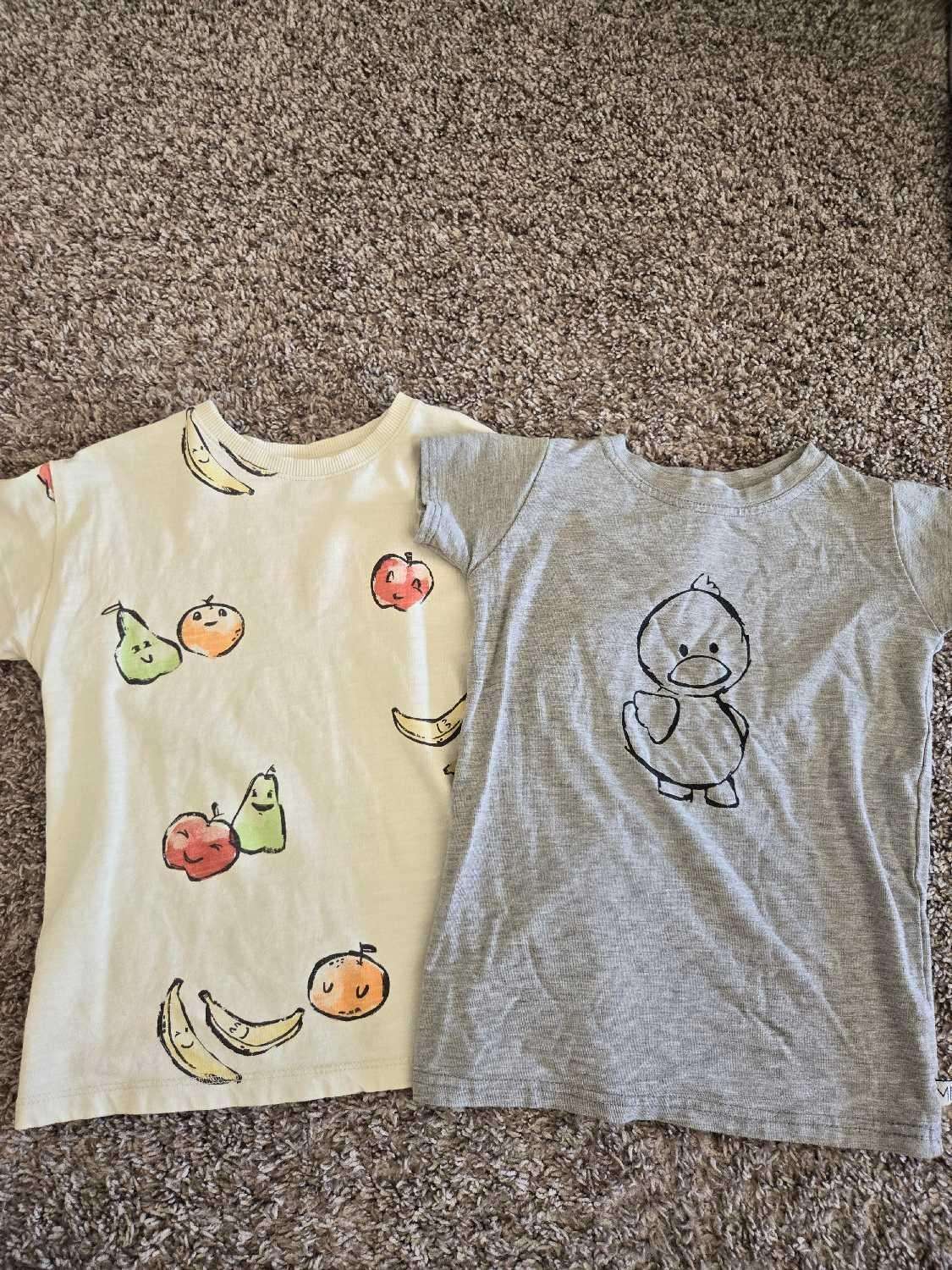 4 Pcs Bundle 3T/ 3T-4T ( New Carters  (Retail 24.00), EUC ZARA and Mi fi), Kids 3T