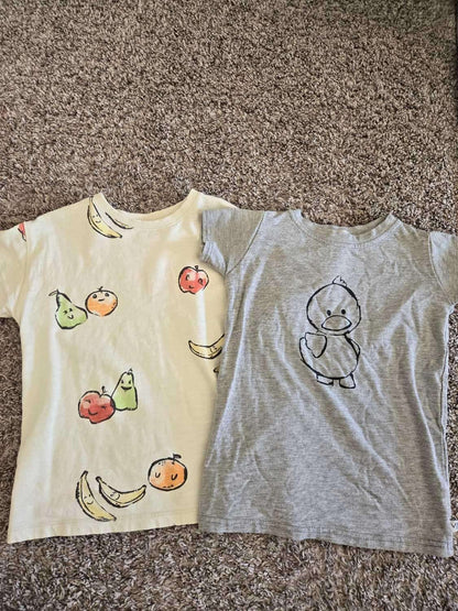 4 Pcs Bundle 3T/ 3T-4T ( New Carters  (Retail 24.00), EUC ZARA and Mi fi), Kids 3T