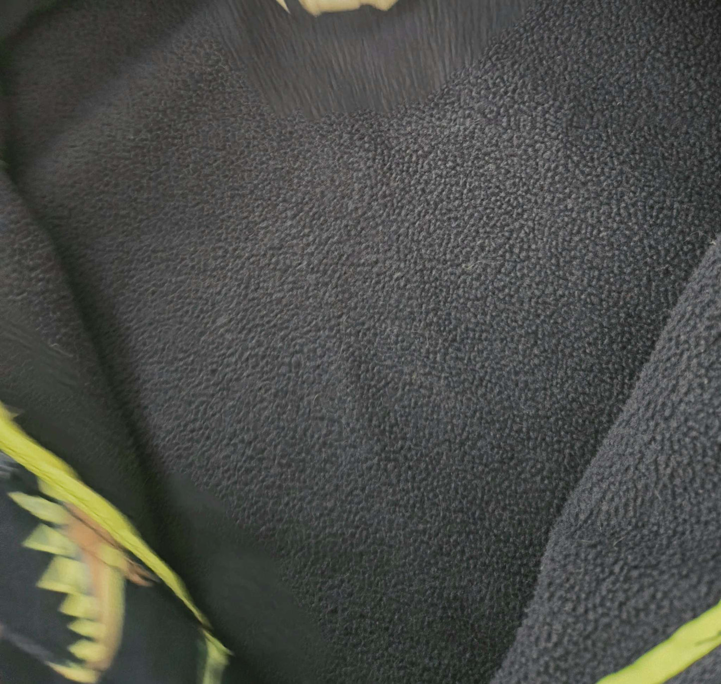 H&M Fall Lined Dino Jacket 3-4T, Kids 3T
