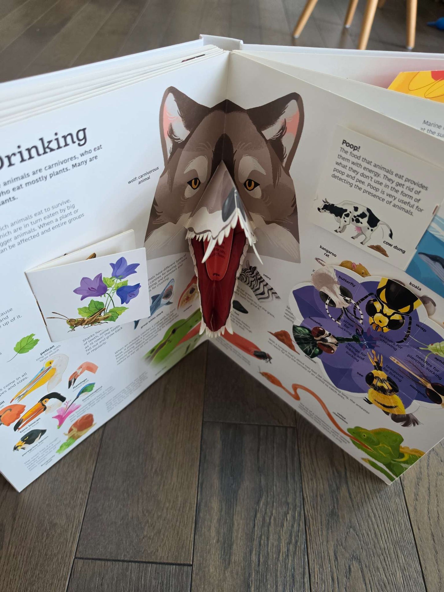 The Ultimate Book of Animals