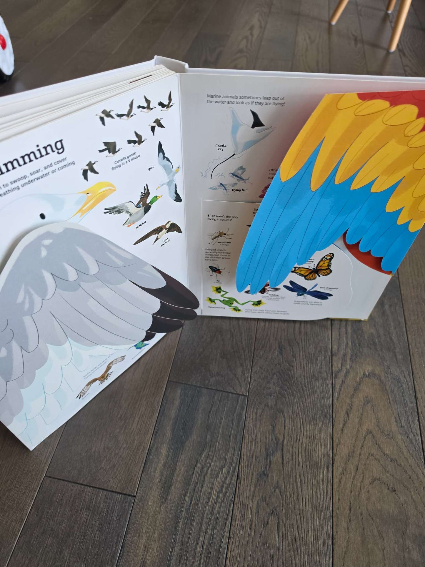 The Ultimate Book of Animals