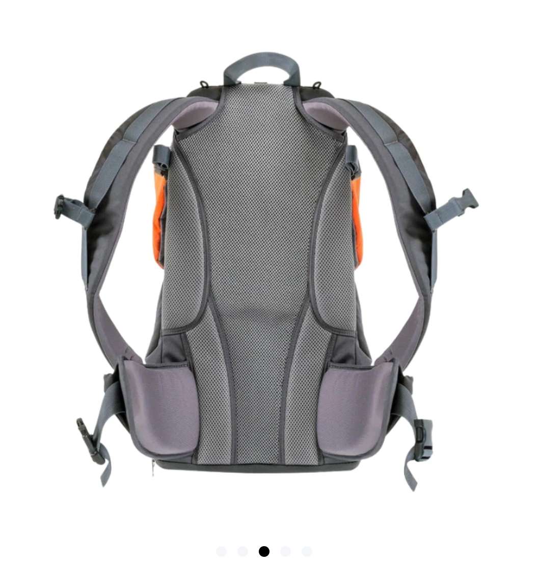 New- Phil & Teds Baby & Toddler Hiking Carrier Backpack