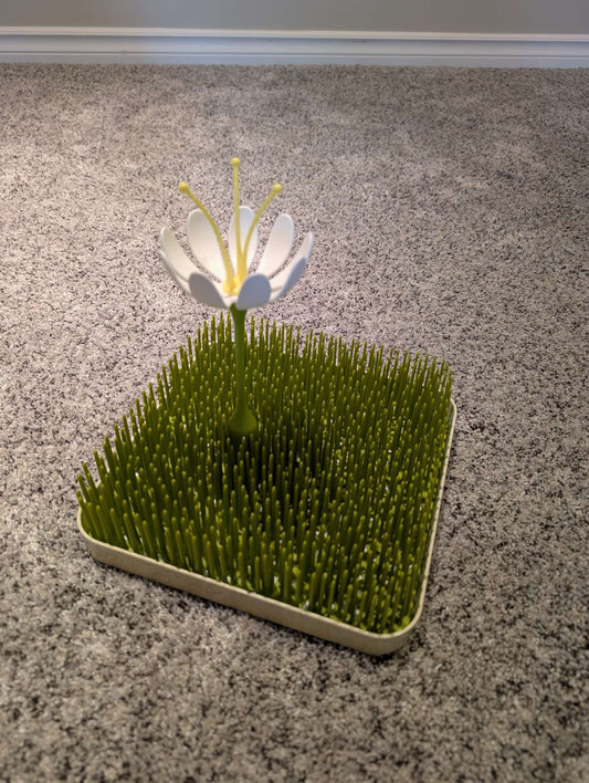 Boon Grass & Stem