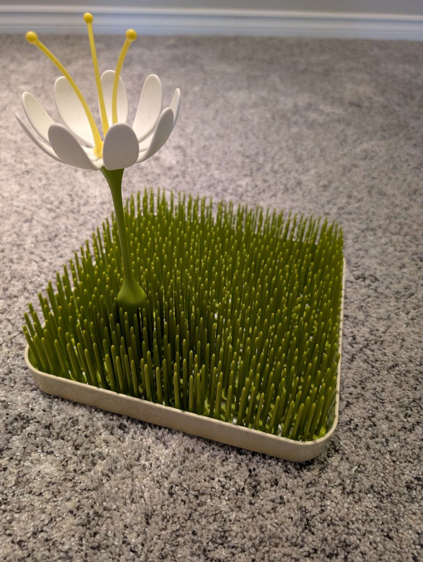 Boon Grass & Stem