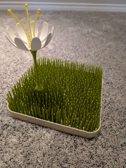 Boon Grass & Stem