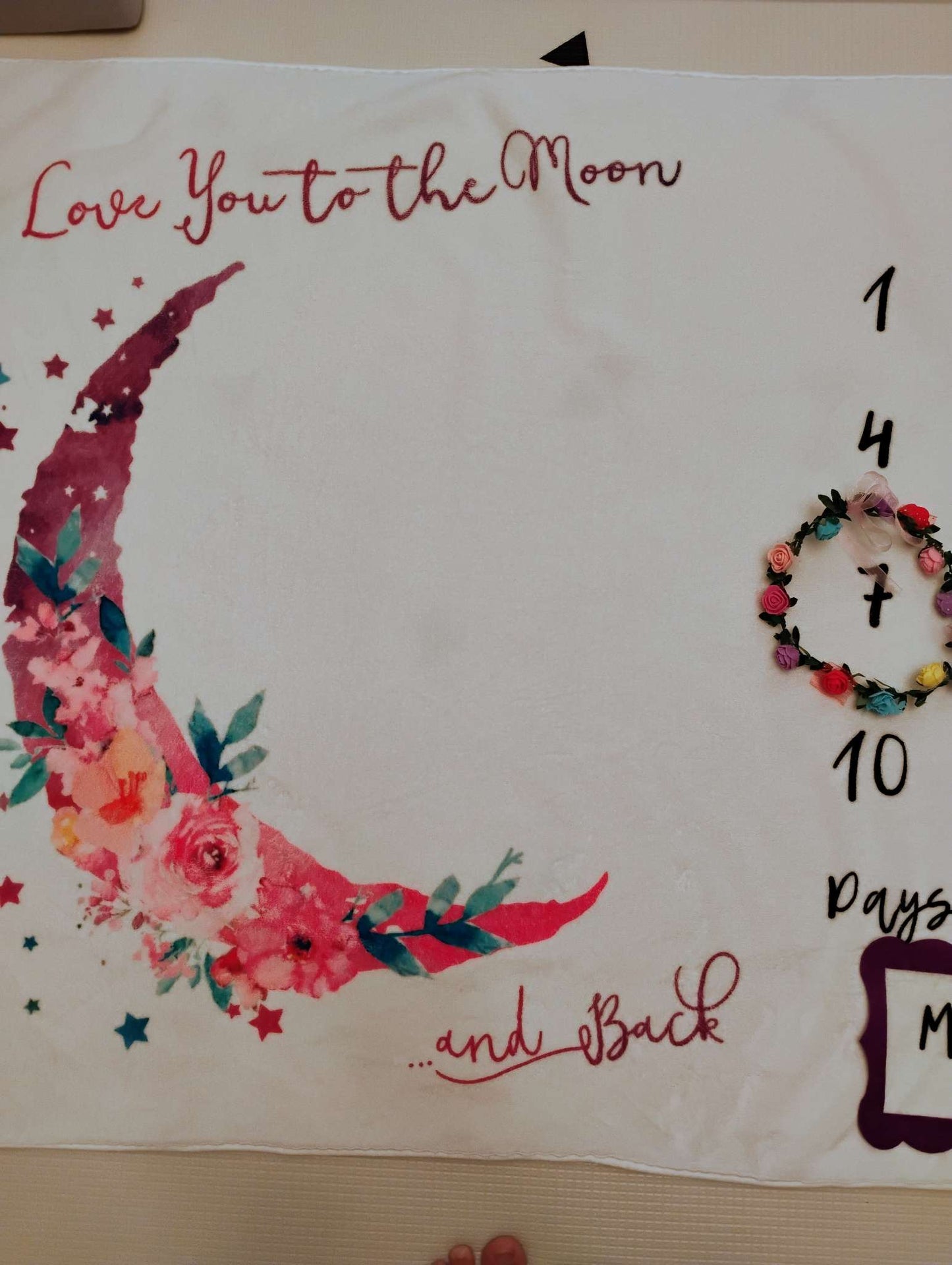 Love you to the moon milestone blanket